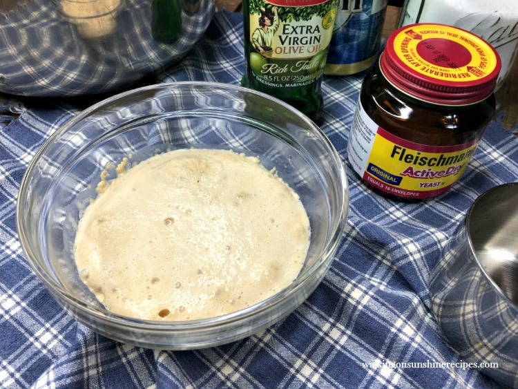 Pizza dough with ingredients and yeast proofed 1