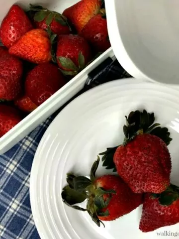 Strawberries after 30 days in Vacuum Sealer from Walking on Sunshine Recipes
