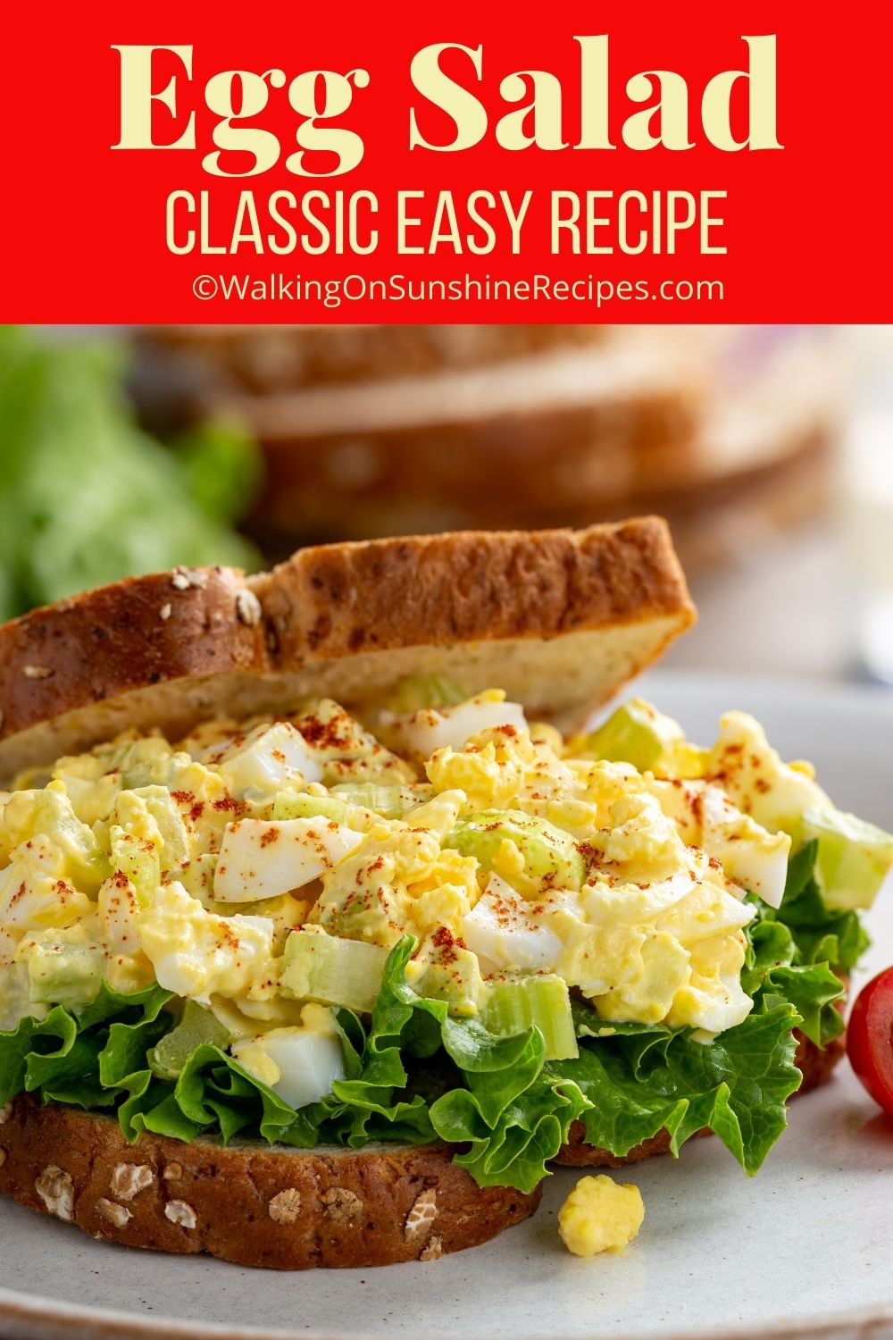 Egg salad sandwich on wheat bread with lettuce.