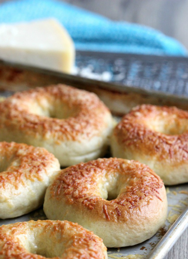 Homemade Parmesan Bagel Recipe from Gluesticks Blog