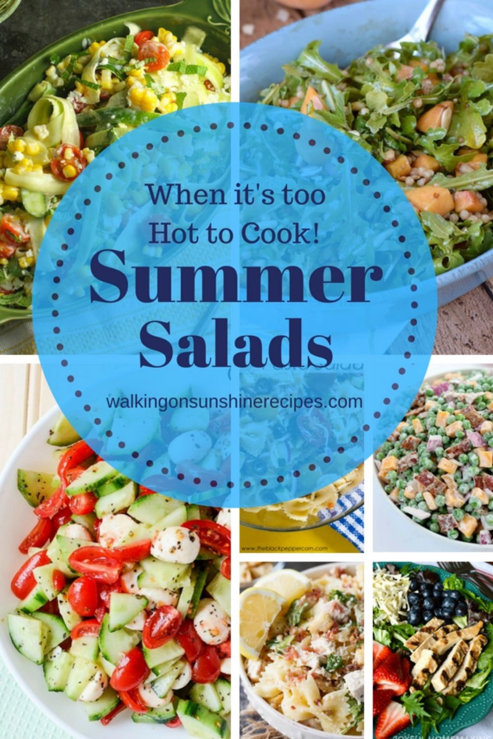 a collection of summer salads.