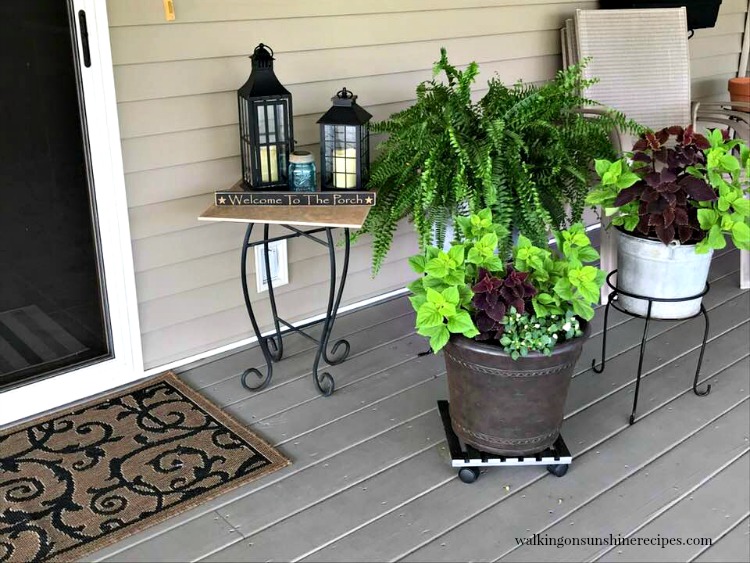 plants and flowers in containers on back porch. 