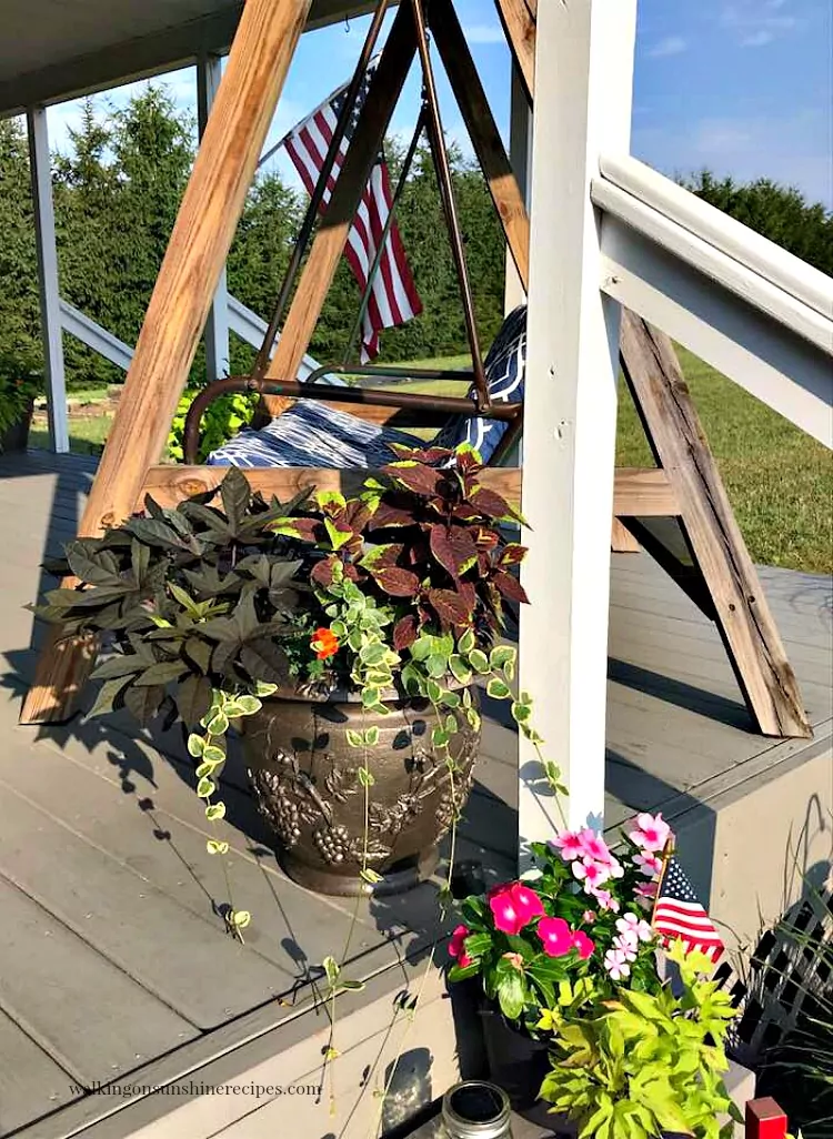 Flowers in planters and porch swing on back porch. 