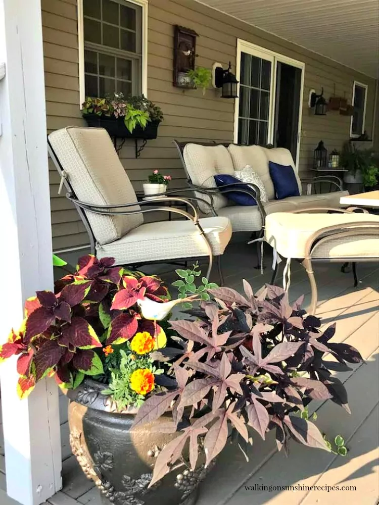 Back porch furniture and planters with flowers. 