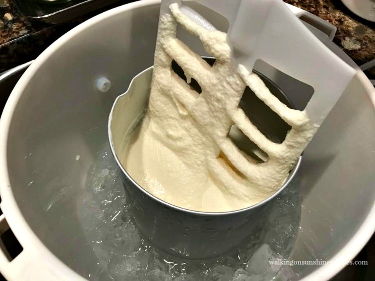 Nostalgia Vanilla Ice Cream Mix