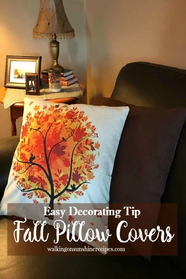Fall Pillow on Couch 