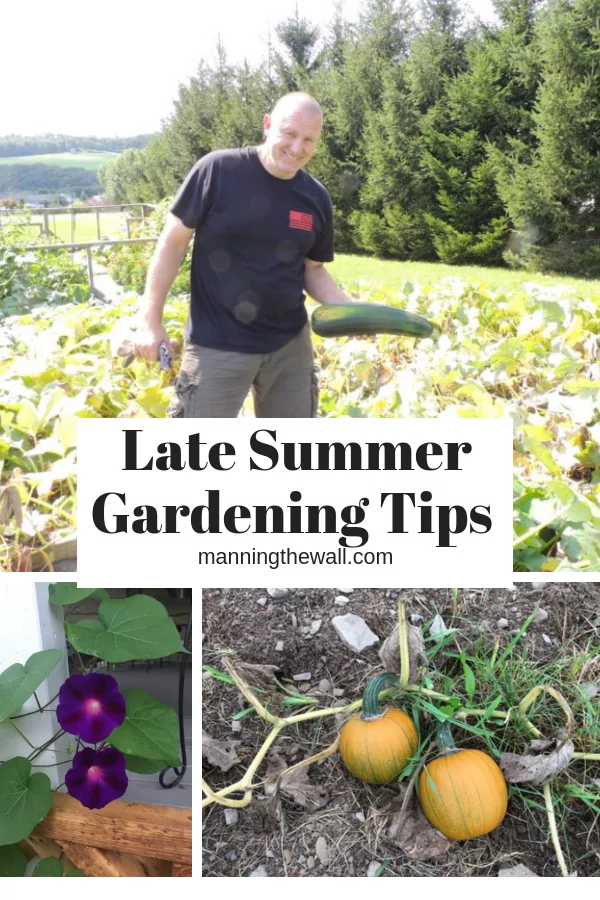 Late Summer Gardening Tips
