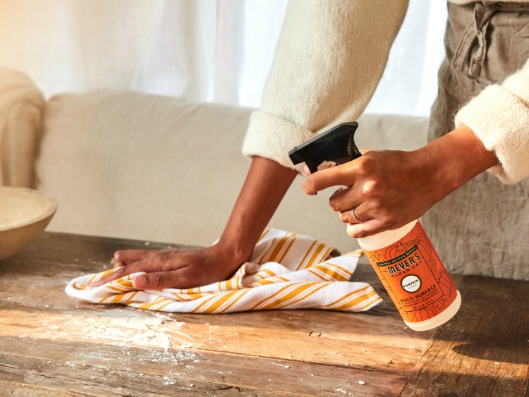 Mrs. Meyers Pumpkin Multi Surface Spray