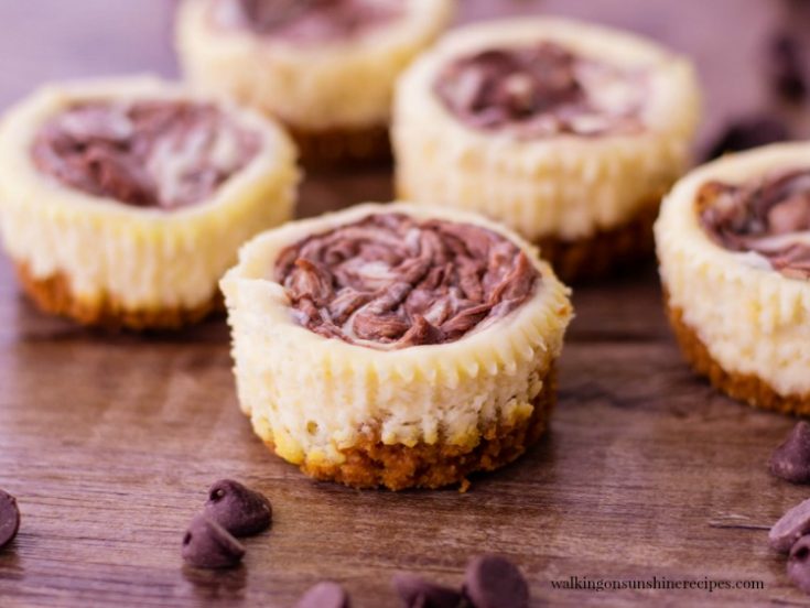 Mini Individual Nutella Swirl Cheesecake