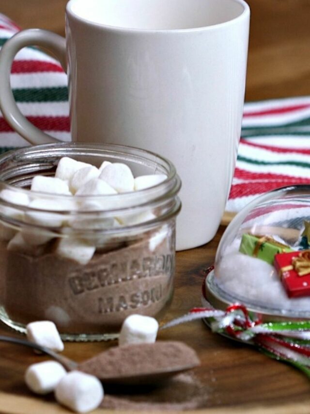 Snow Globe Hot Chocolate - Walking On Sunshine Recipes