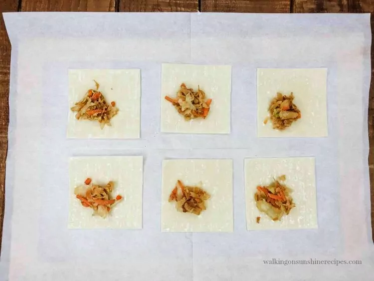 Add a spoonful of the Cole Slaw mixture to the wonton wrappers. 