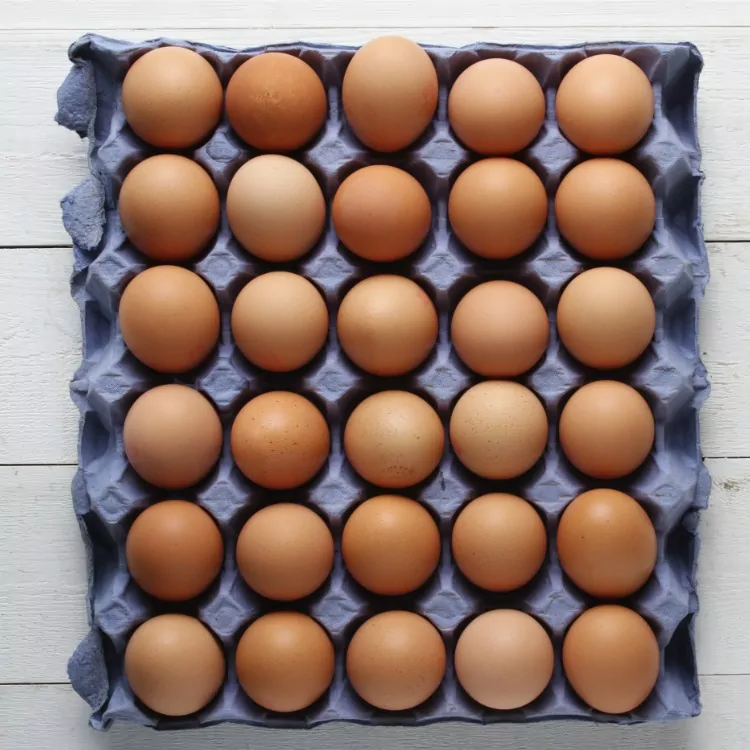 natural brown eggs in carton