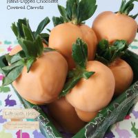 Hand-Dipped Chocolate Covered Carrots