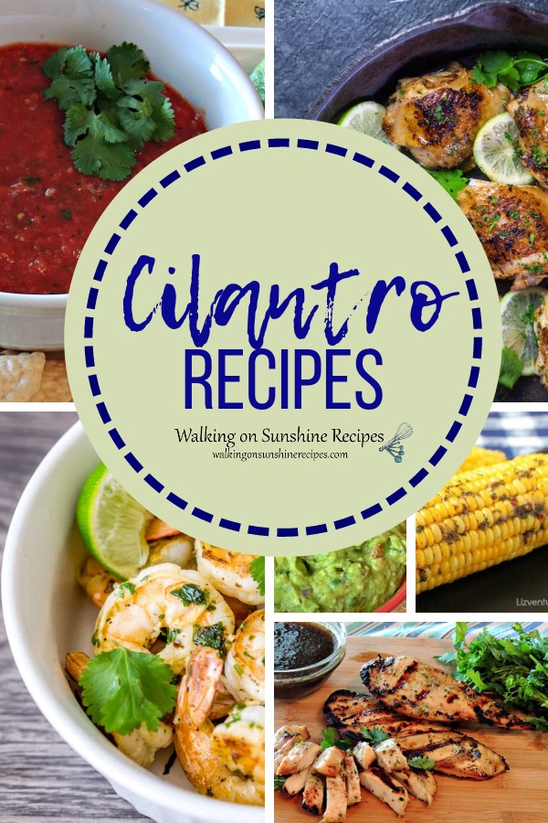 Cilantro recipes and tips on growing cilantro. 