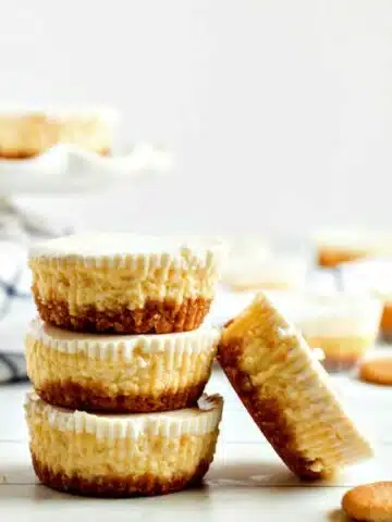 cropped-Cheesecake-Cupcakes-Stacked-with-Sour-Cream-Topping-from-WOS.jpg