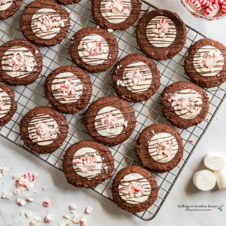 Chocolate Marshmallow Peppermint Cookies