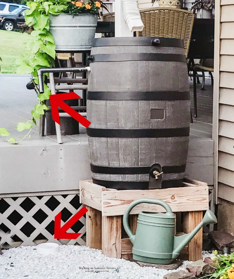 Close up of rain barrel with watering can below. 