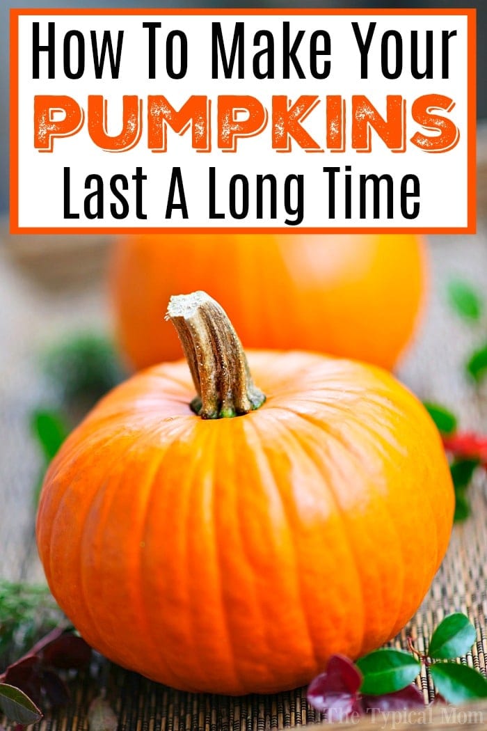 How to Carve a Pumpkin for Halloween - Walking On Sunshine Recipes