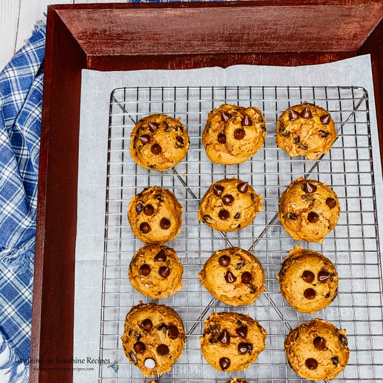Pumpkin Chocolate Chip Cookies
