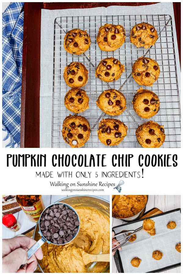 Pumpkin Chocolate Chip Cookies made with only 5 Ingredients from WOS