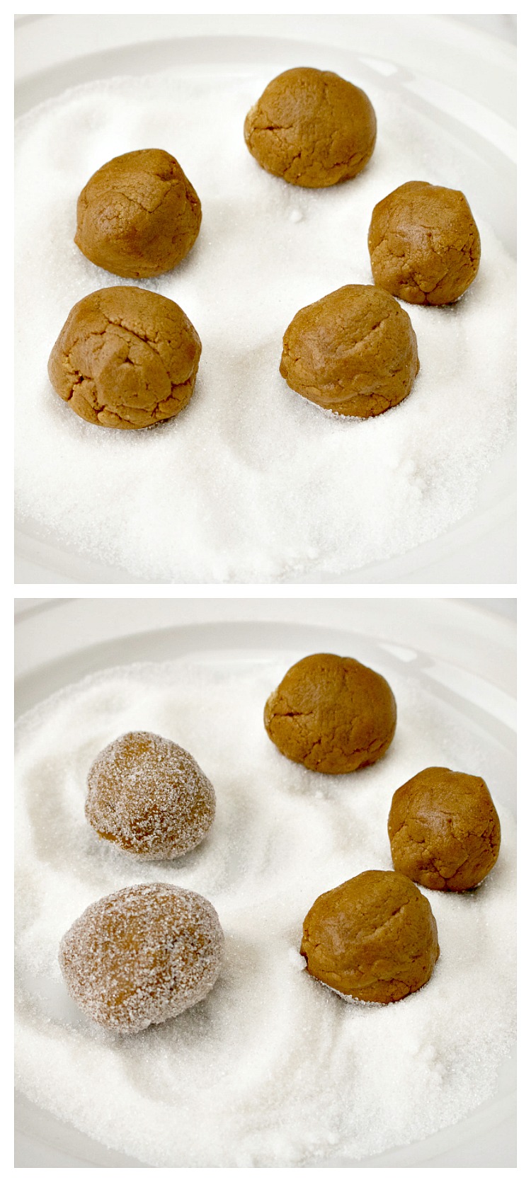 Gingersnap Cookie Balls in sugar
