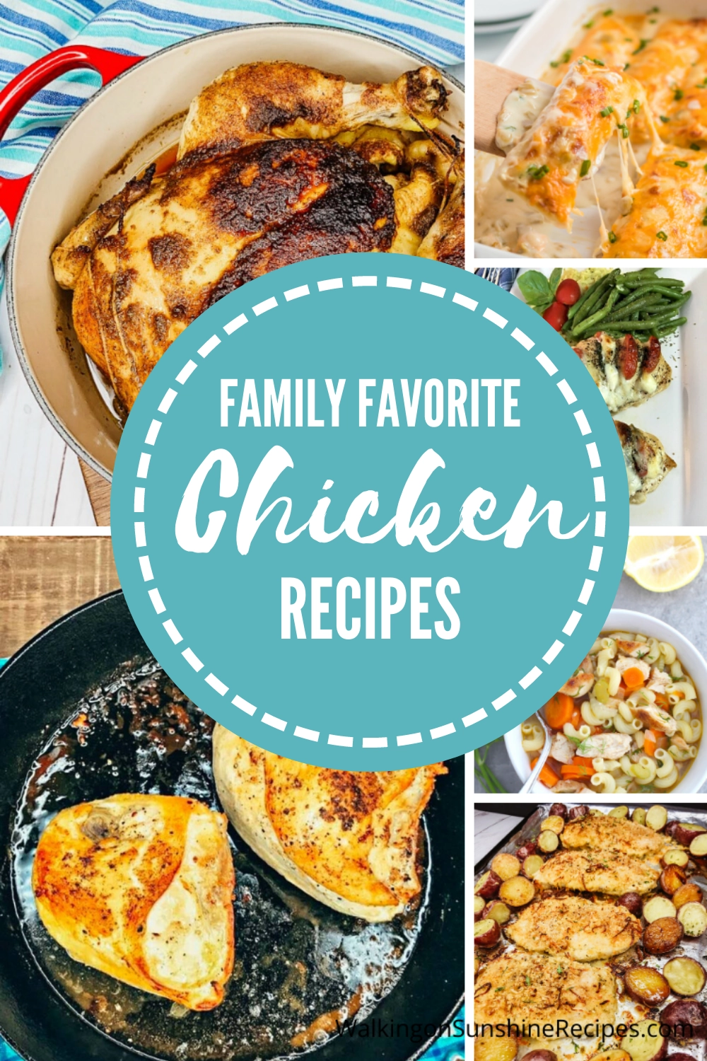 collection of chicken recipes perfect for dinner. 