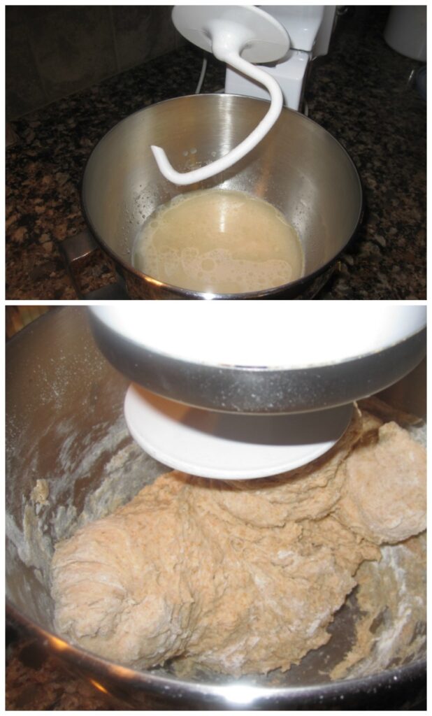 Bread dough in mixing bowl. 