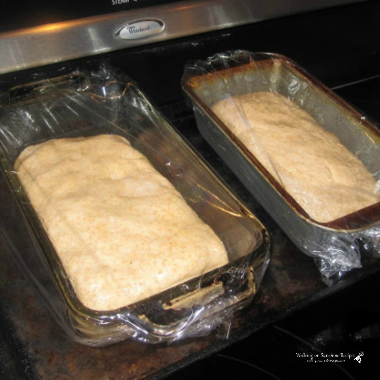 Two loaves of homemade bread in loaf pans covered with plastic wrapped ready to rise. 