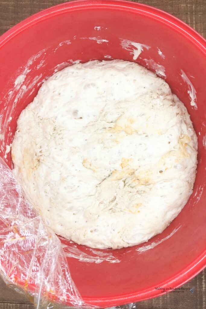 No Knead Bread Risen in red bowl.