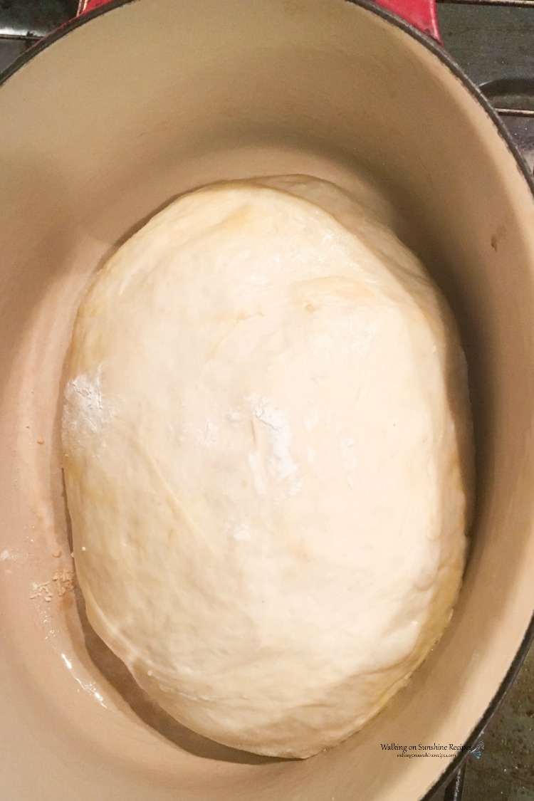 No Knead Dough in Dutch Oven Pan ready for oven