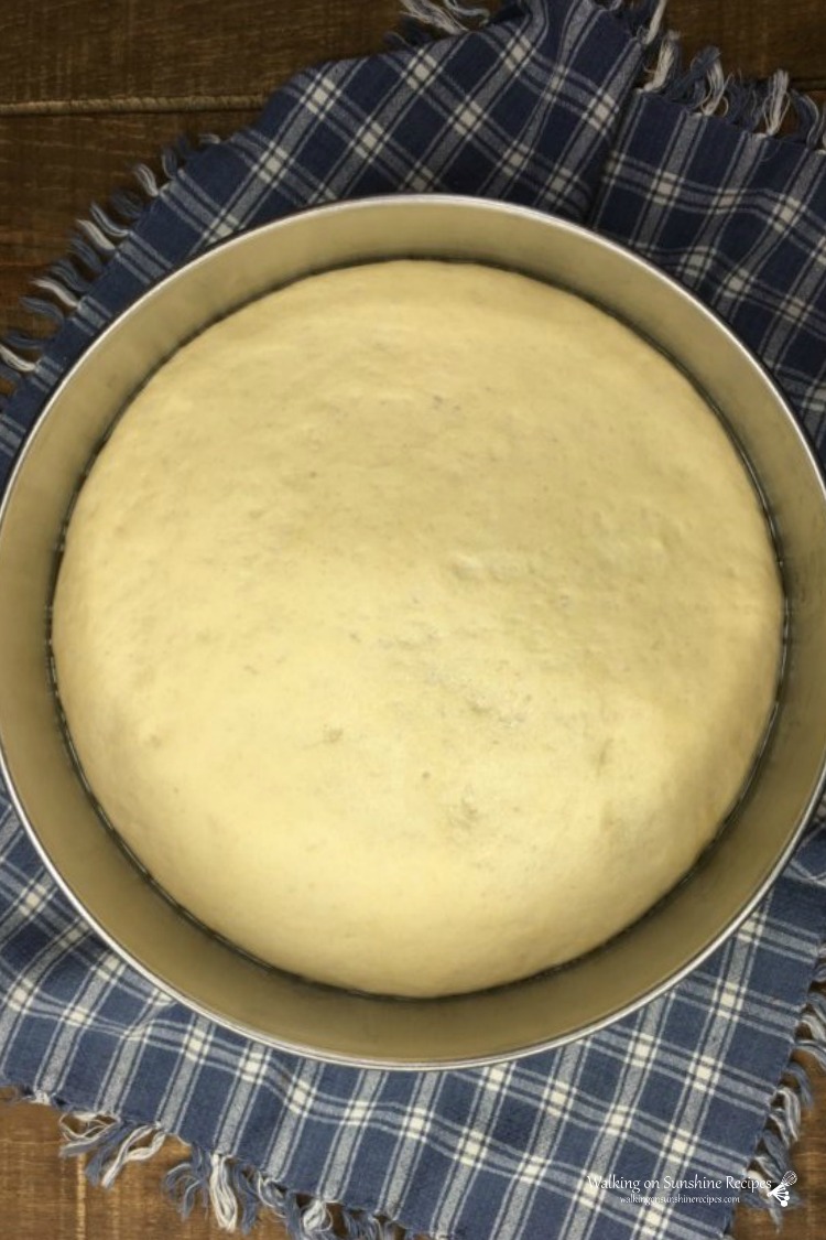 Beautiful raised pizza dough in stainless steel bowl