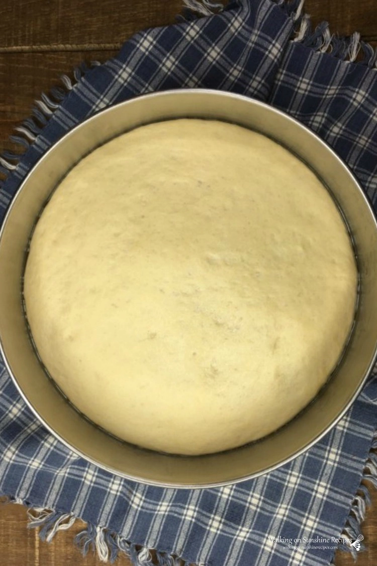 Beautiful raised pizza dough in stainless steel bowl