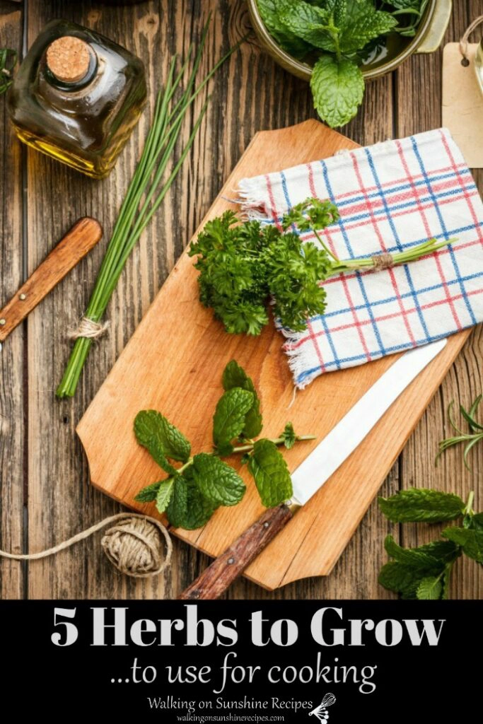 Herbs on cutting board with knife, dish towel and string. 