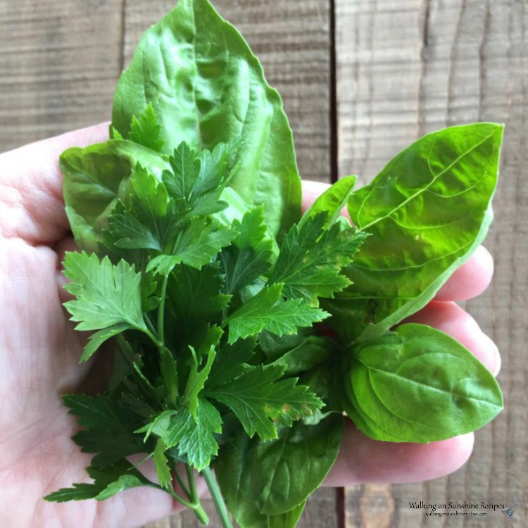 Fresh basil and parsley held in hand over wooden board. 