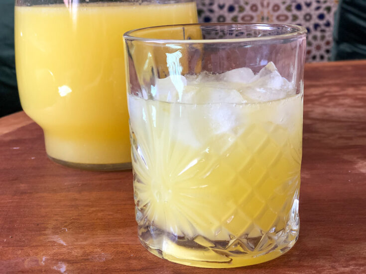 Blender Orange and Mint Lemonade
