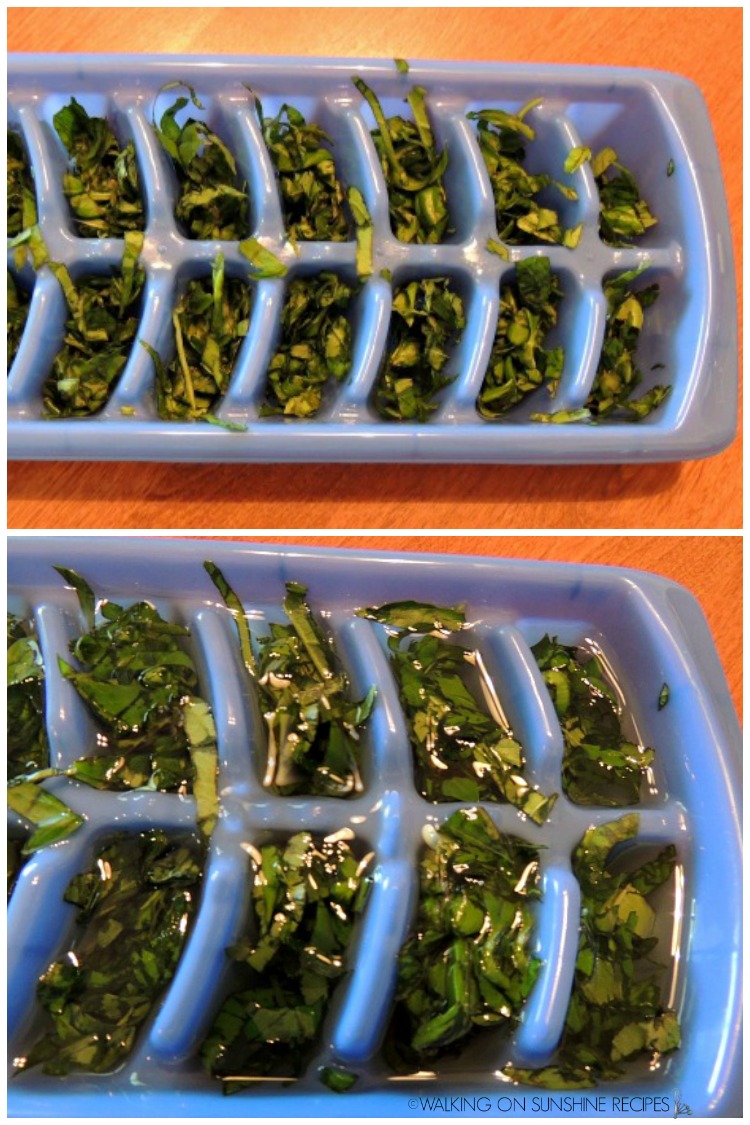 how-to-freeze-basil-in-ice-cube-trays-walking-on-sunshine