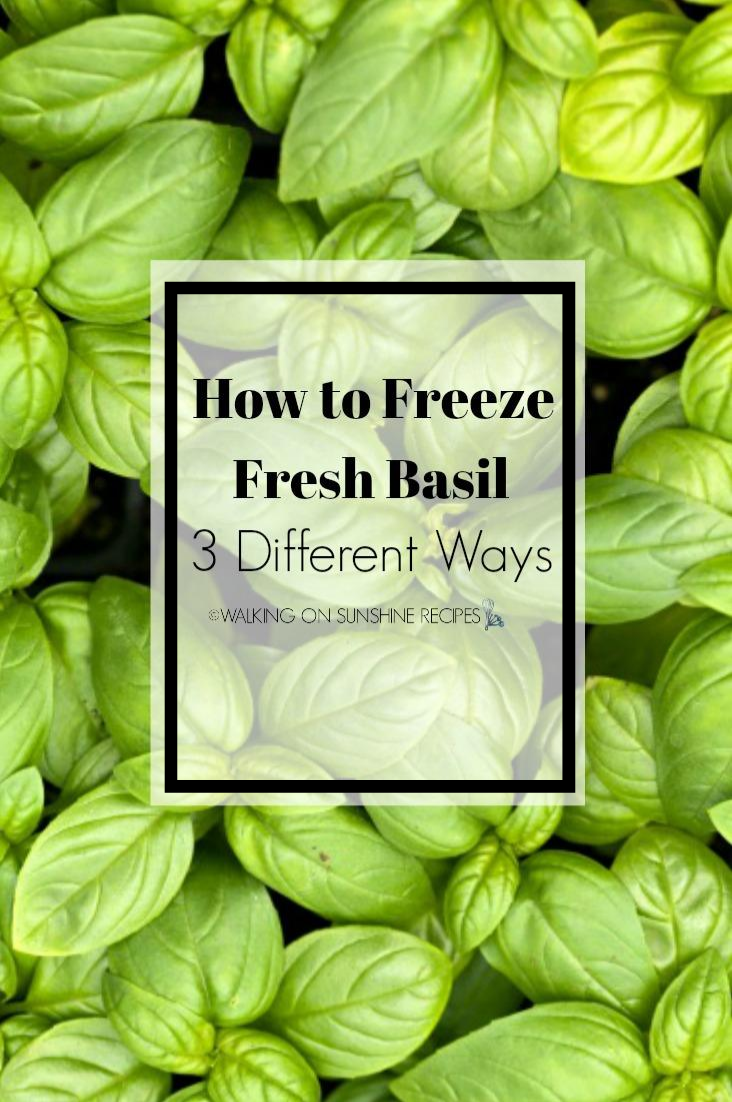 Fresh Basil Closeup and freezing tips.