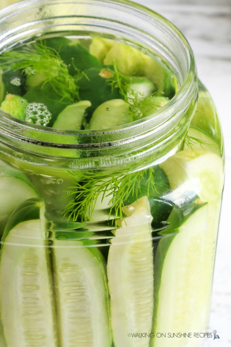 close up photo of pickles in jar with vinegar, dill and garlic cloves. 