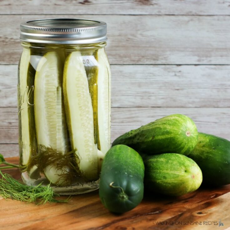 Easy Homemade Refrigerator Pickles