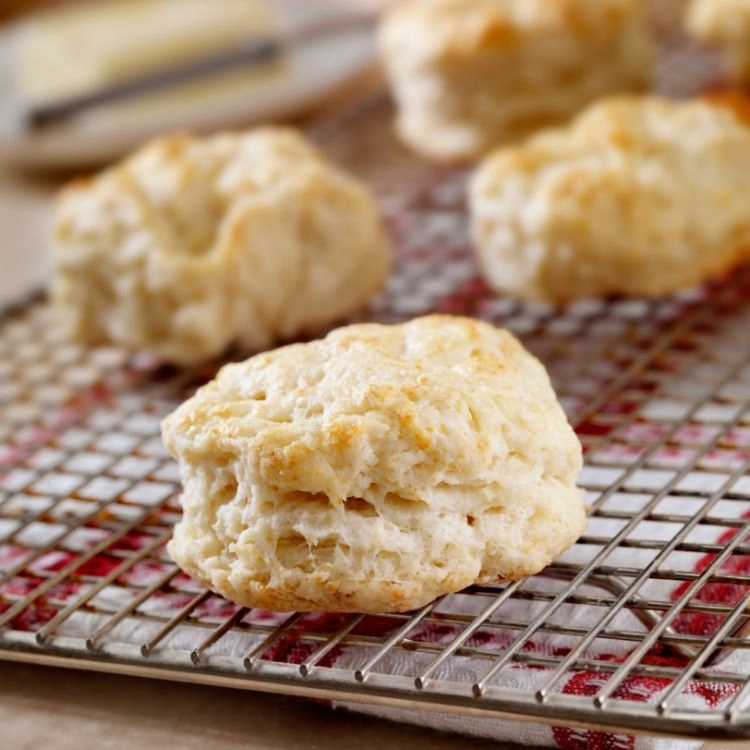 homemade biscuits without buttermilk