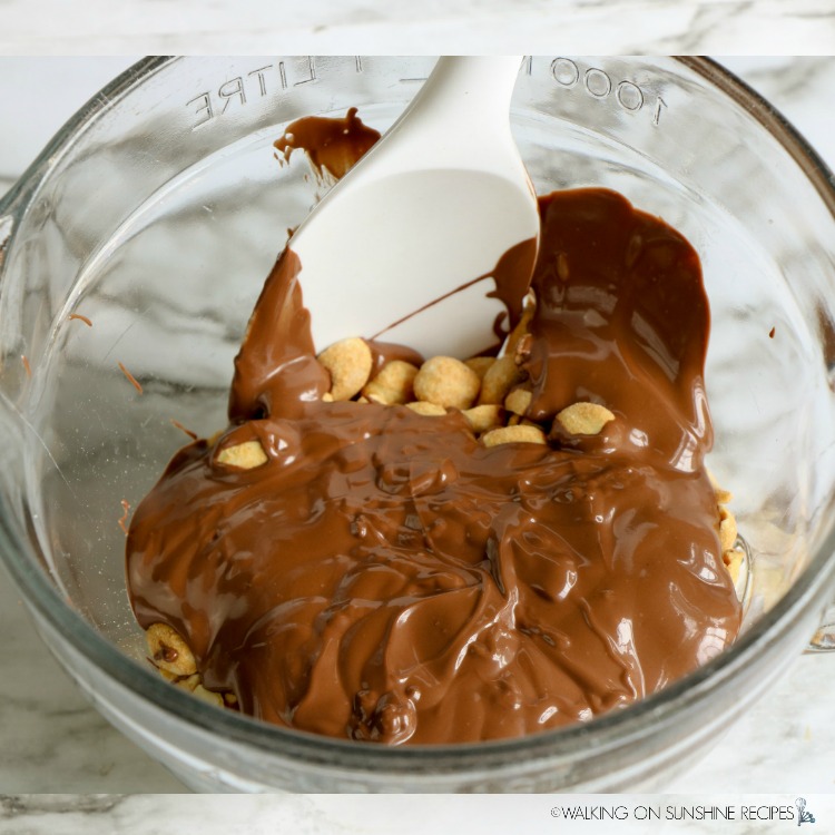Combine melted chocolate with peanuts in mixing bowl