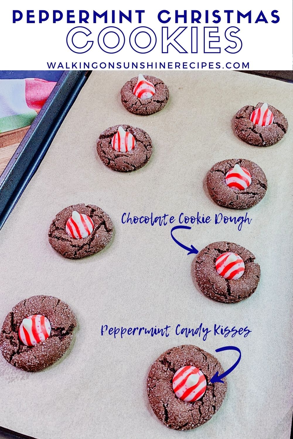 Chocolate sugar cookies with peppermint kisses baked on cookie tray with parchment paper.