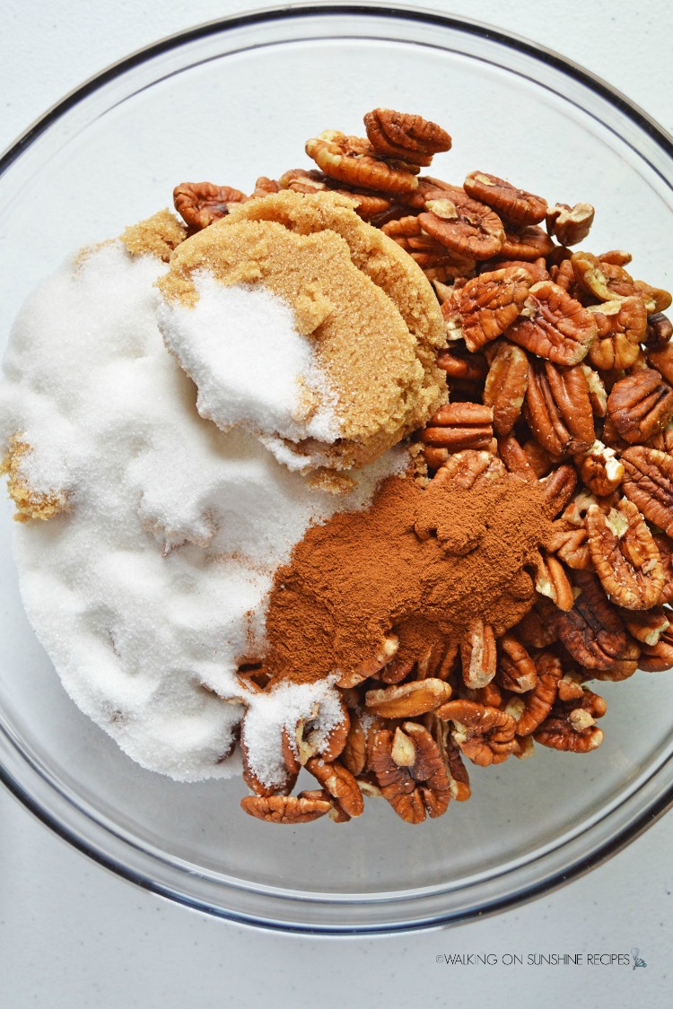 Sugar, Brown Sugar, Cinnamon and Pecans in Bowl