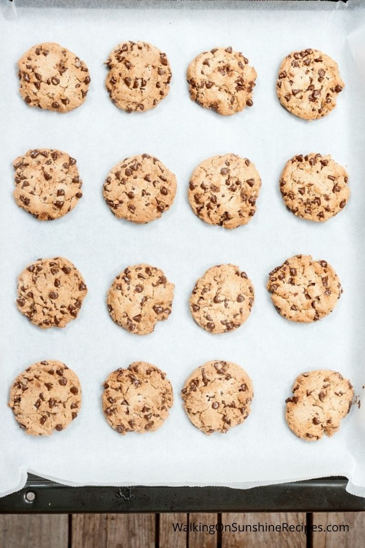 Fresh baked chocolate chip cookies on baking tray. 