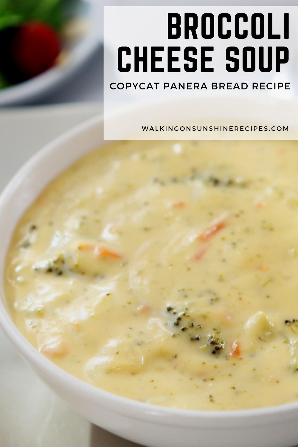 broccoli cheese soup in white bowl. 