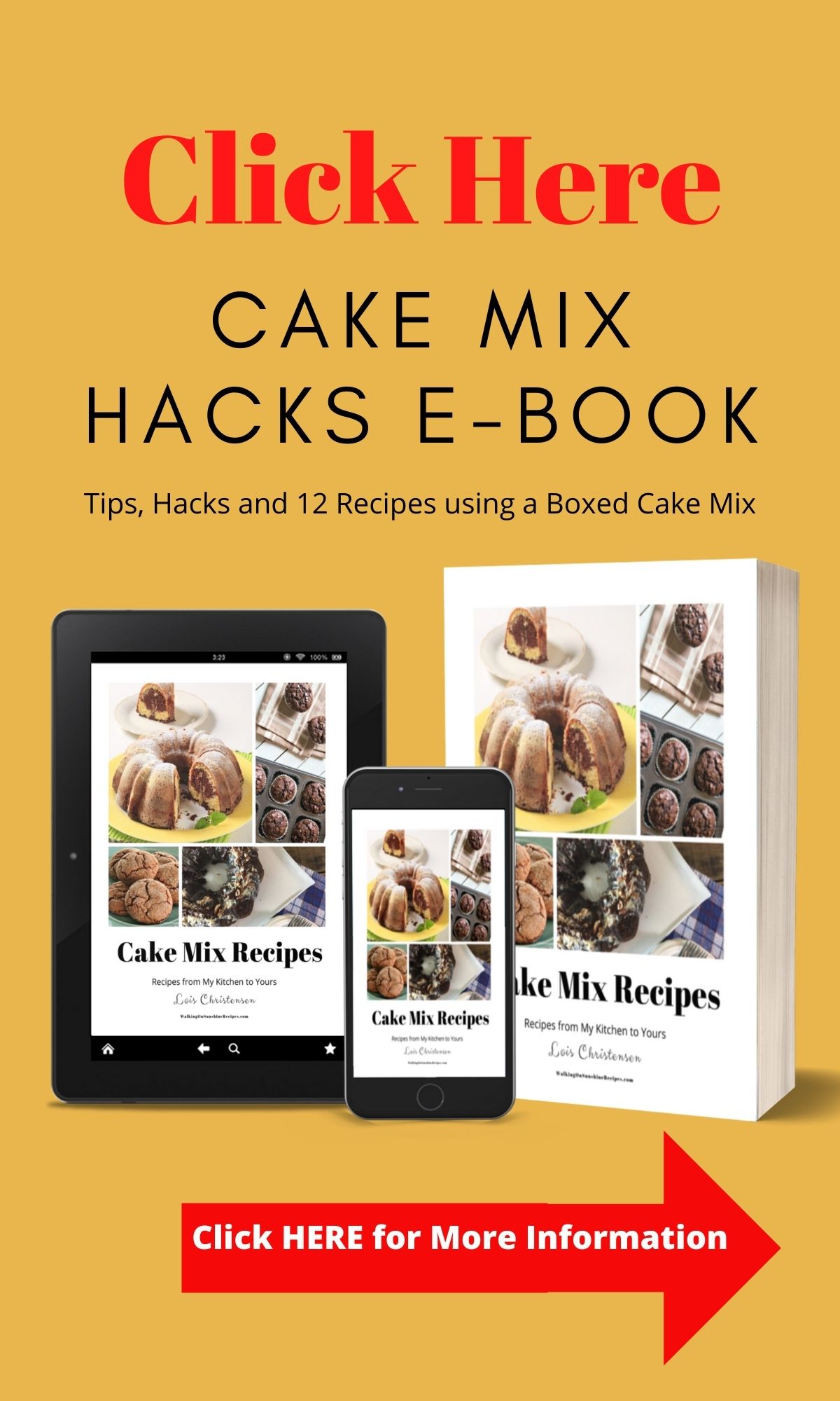 Cake-Mix-ebook-ggnoads.png LONG Blog Promo