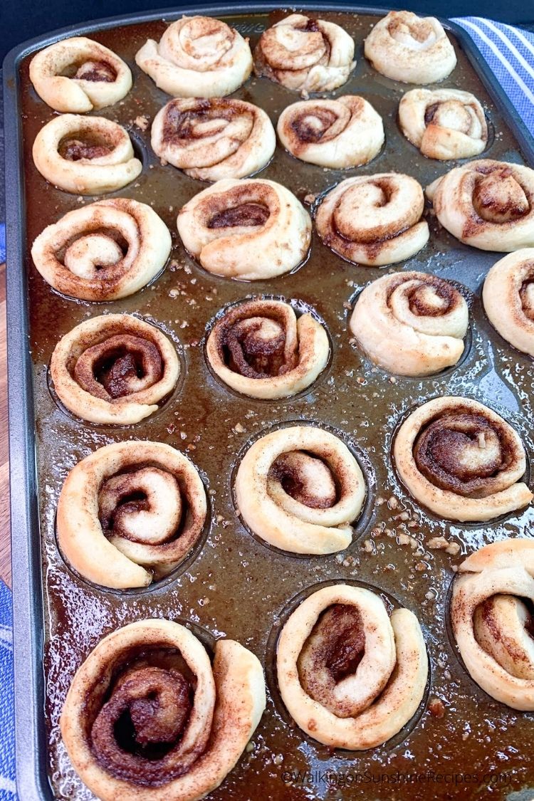 baked mini pecan cinnamon rolls in mini muffin pan.
