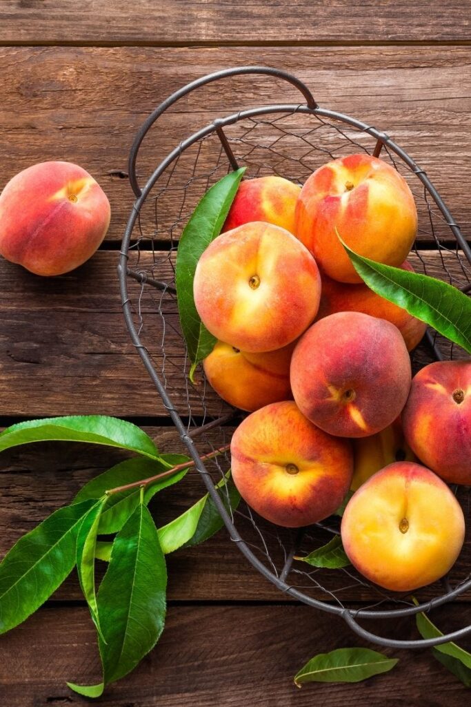 Fresh peaches in wire basket. 