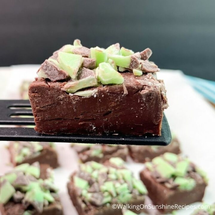 Mint Chocolate Fudge Recipe