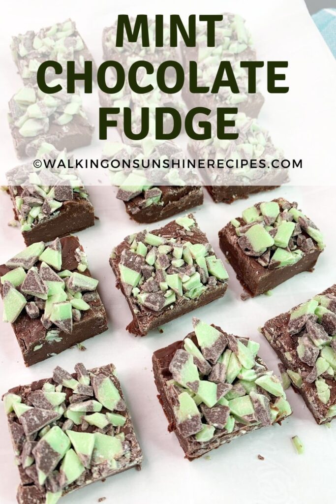Mint Chocolate Fudge on white tray.